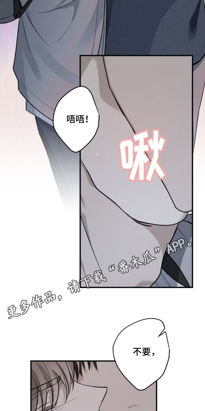 第12章：可悲