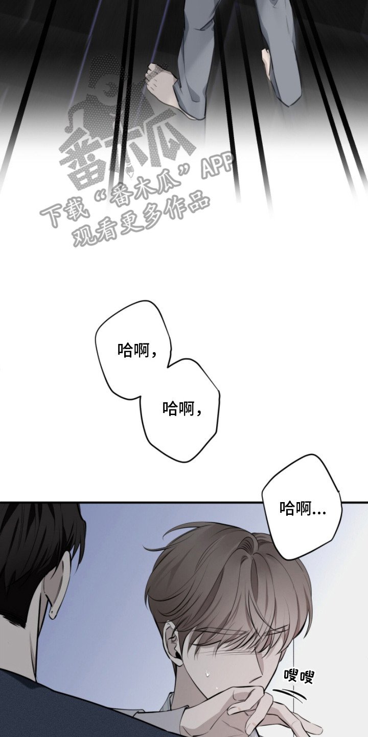第12章：可悲