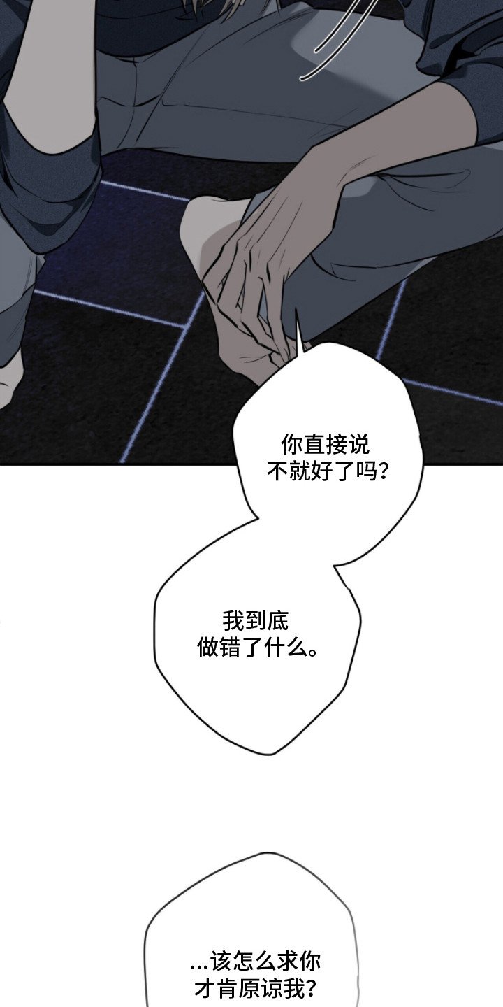 第12章：可悲