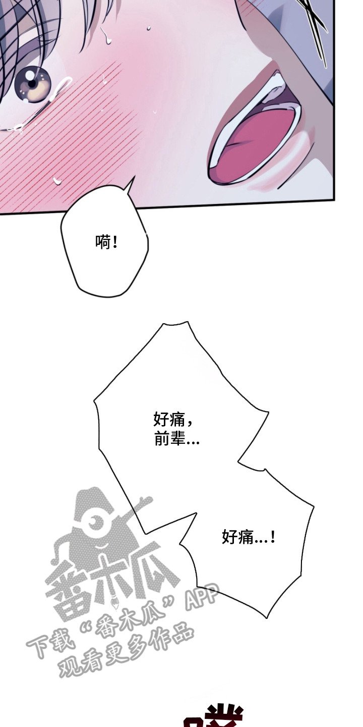 第5章：忘记约定