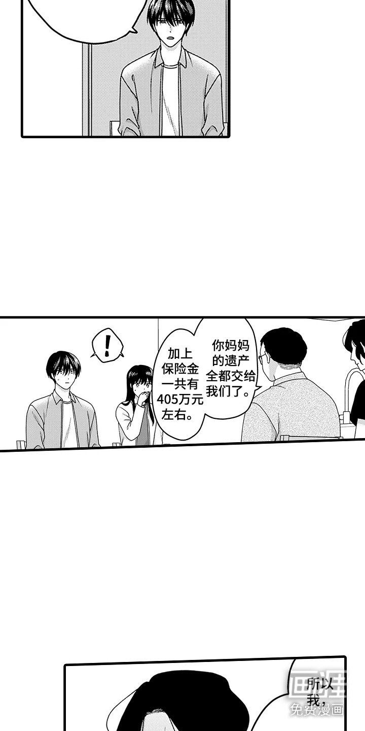 第20章：遗产