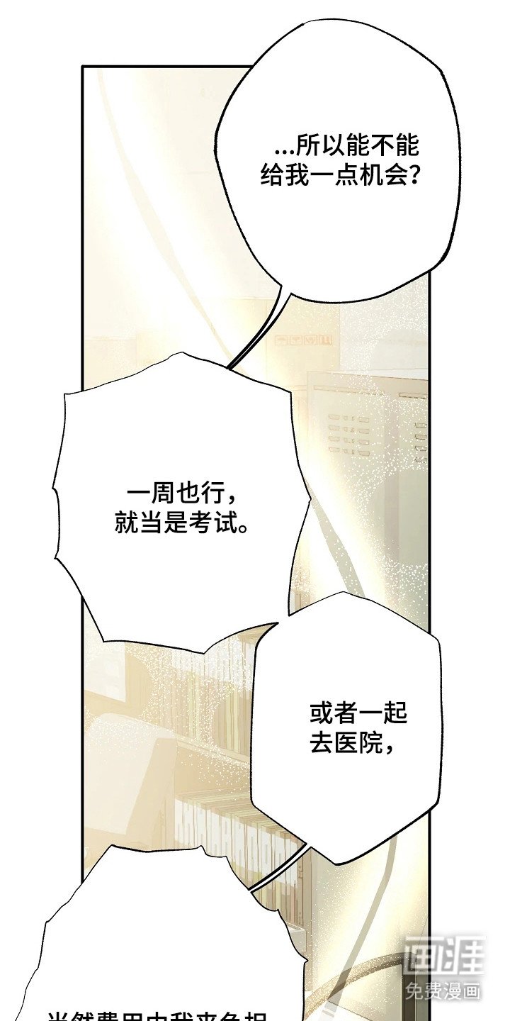 第11章：因为喜欢