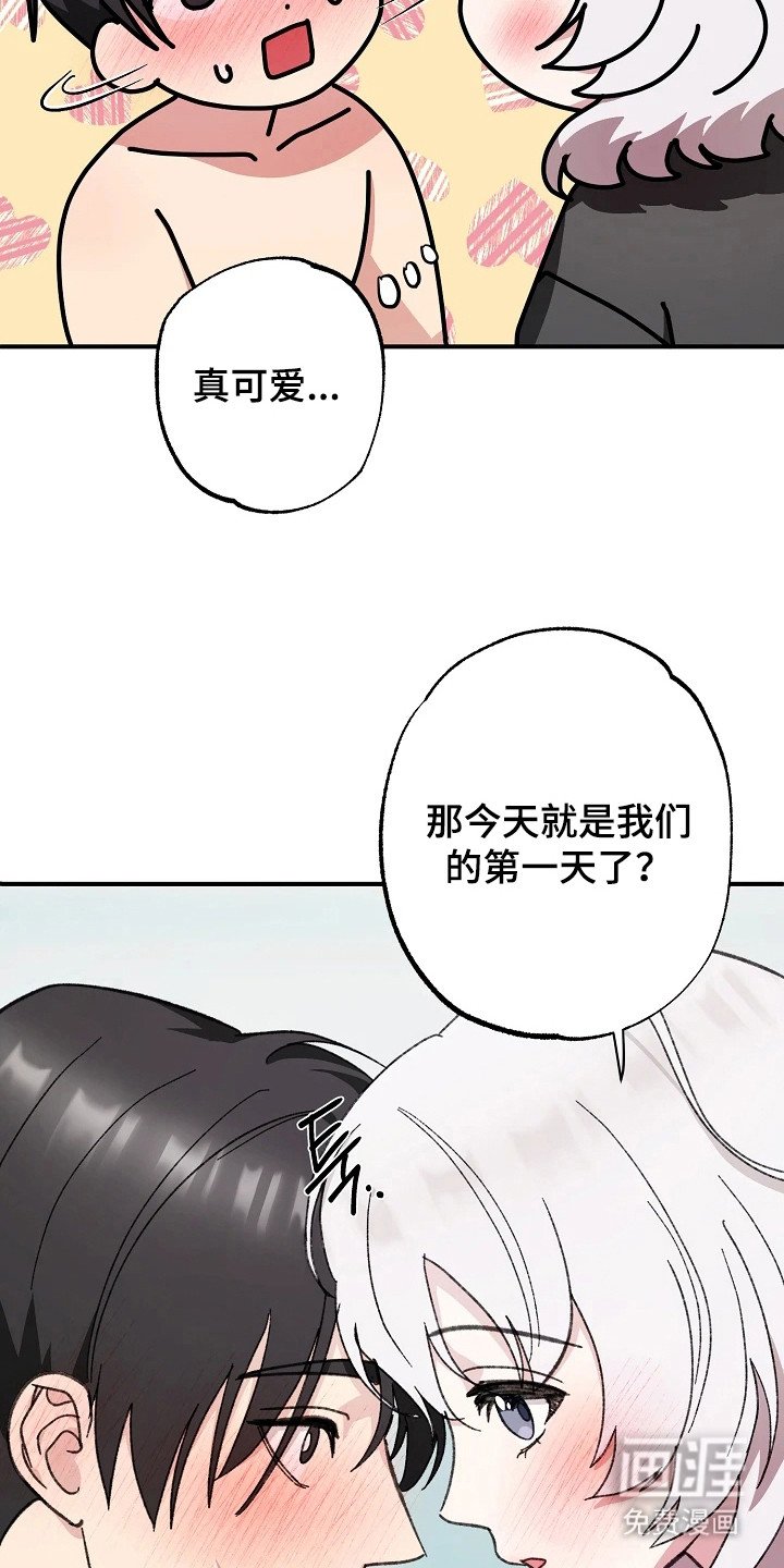 第11章：因为喜欢