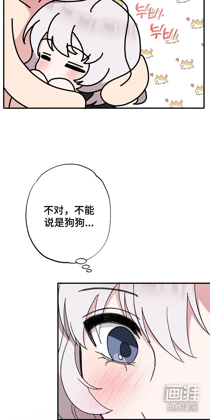 第12章：莫名纵容（完结）