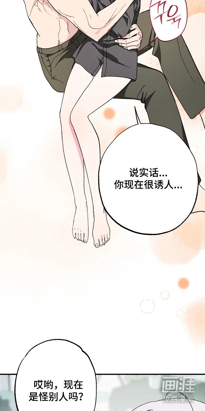 第12章：莫名纵容（完结）