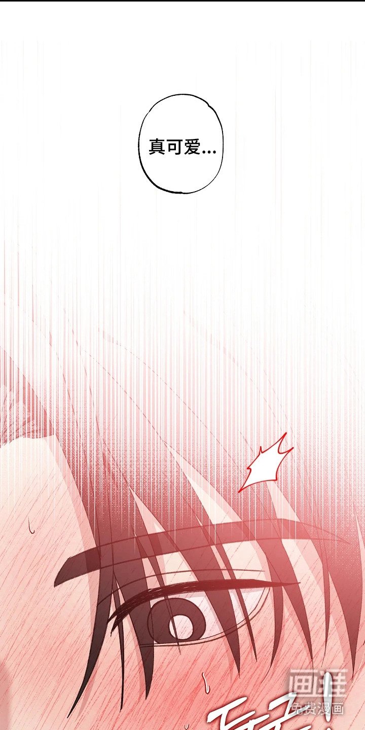 第6章：无法想象