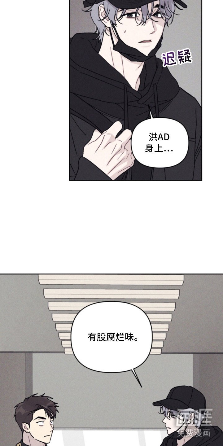 第3章：腐烂味