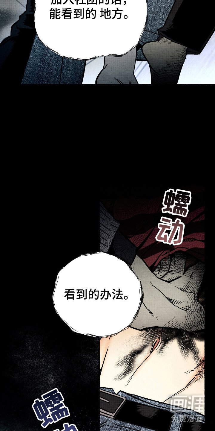 第4章：看到的办法