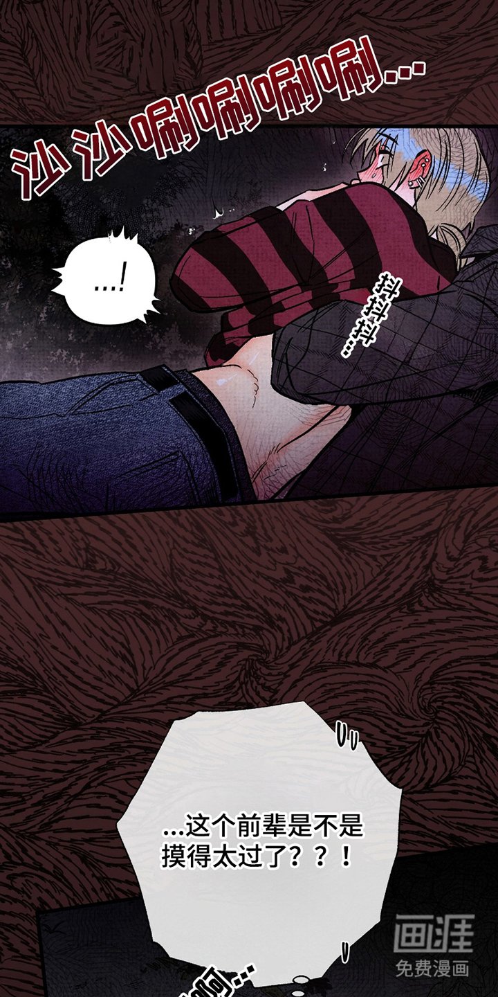 第6章：终于转过来了