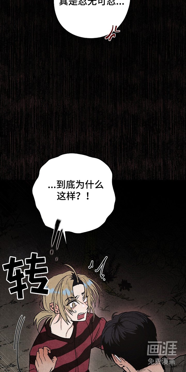 第6章：终于转过来了