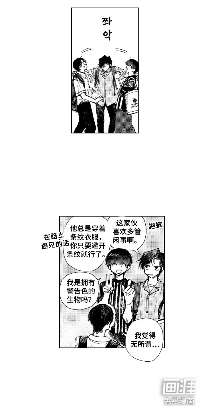 第11章：显眼