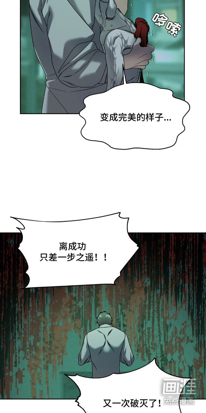 第11章：袭击