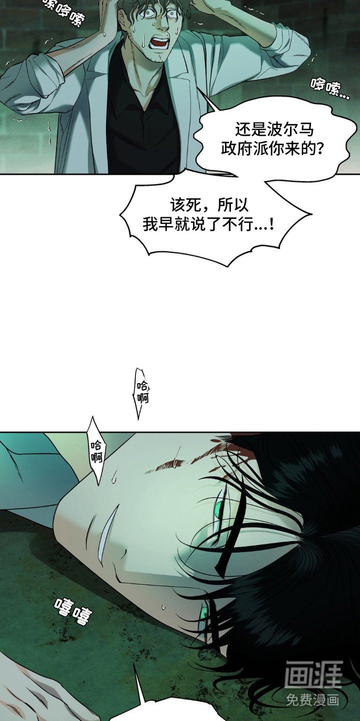 第11章：袭击