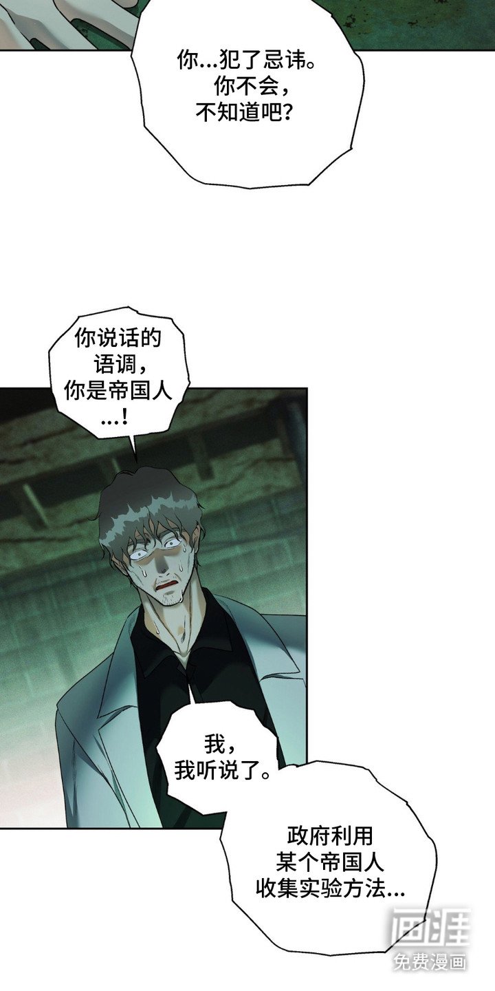 第11章：袭击