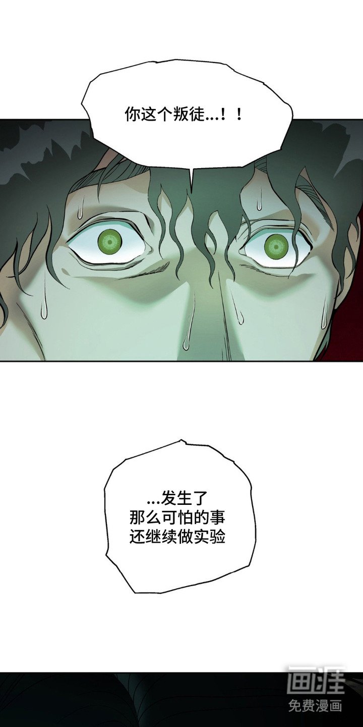 第11章：袭击