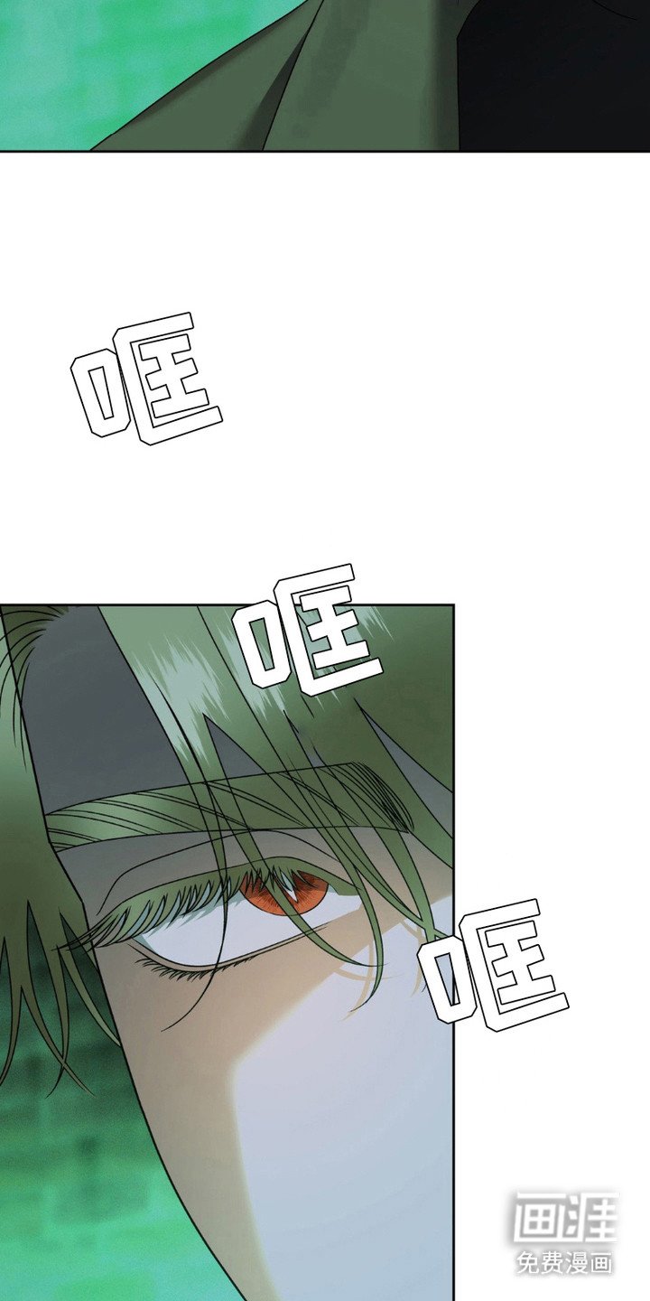 第13章： 对峙