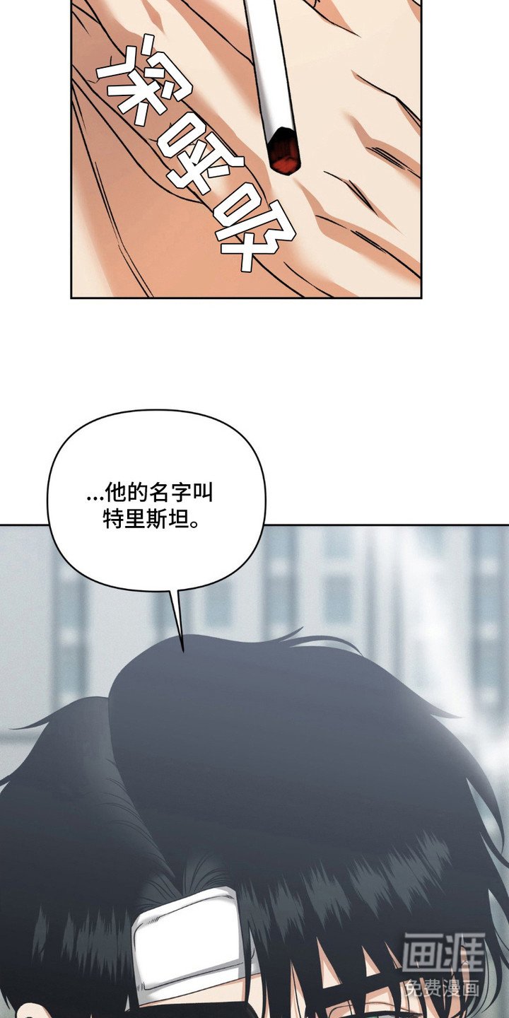第15章：特里斯坦
