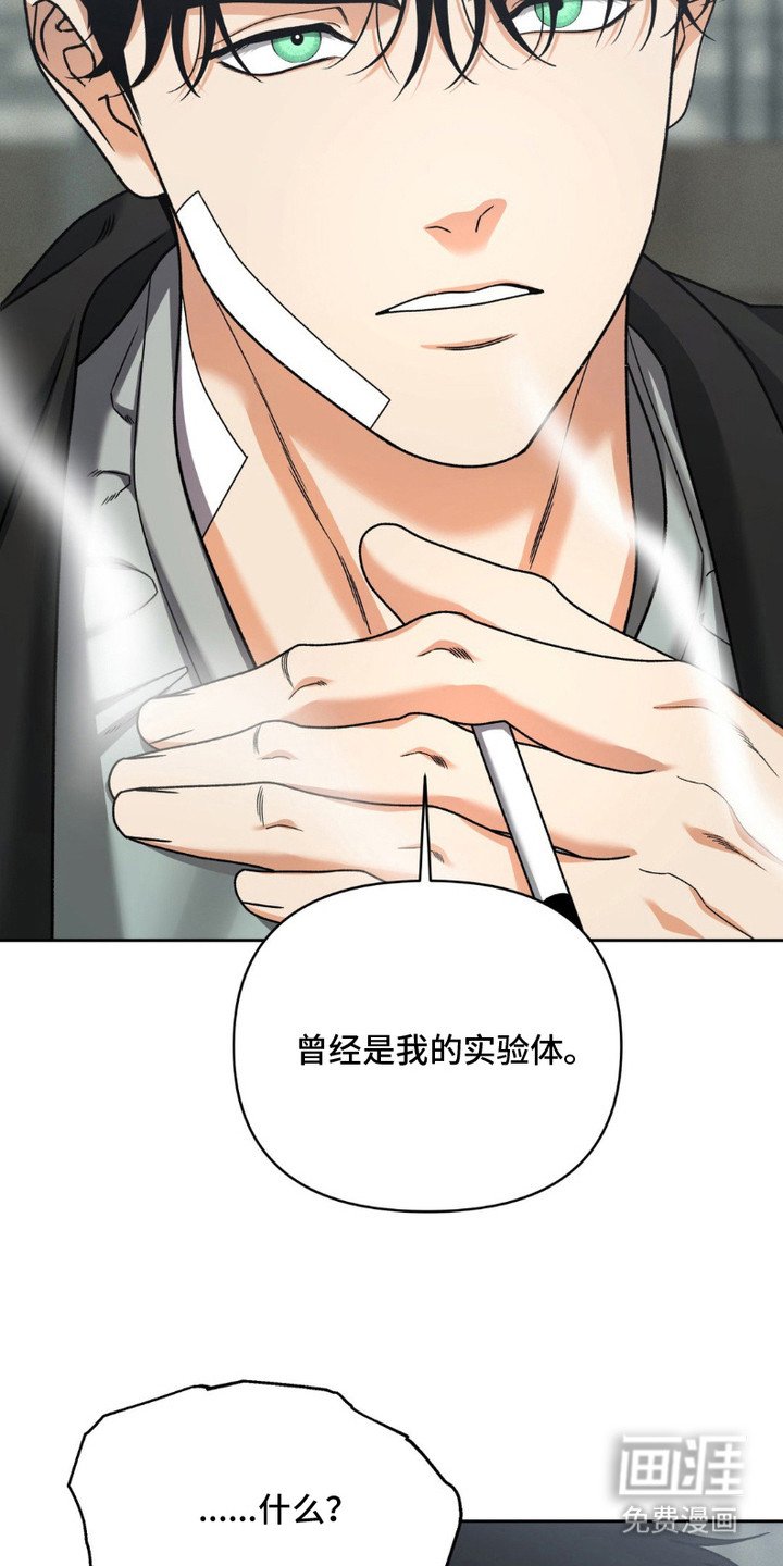 第15章：特里斯坦