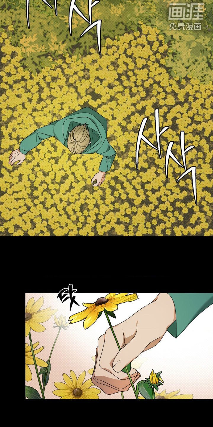 第19章：配方