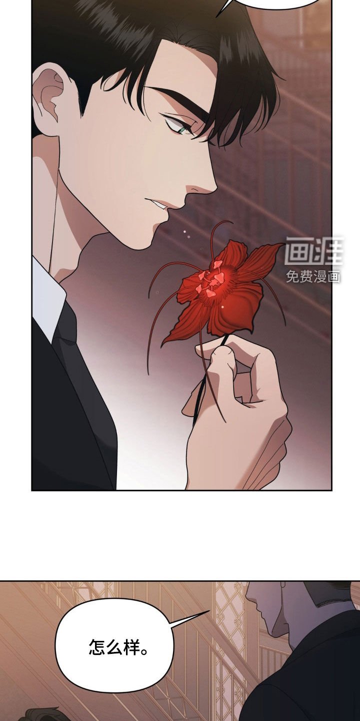 第22章：惊奇