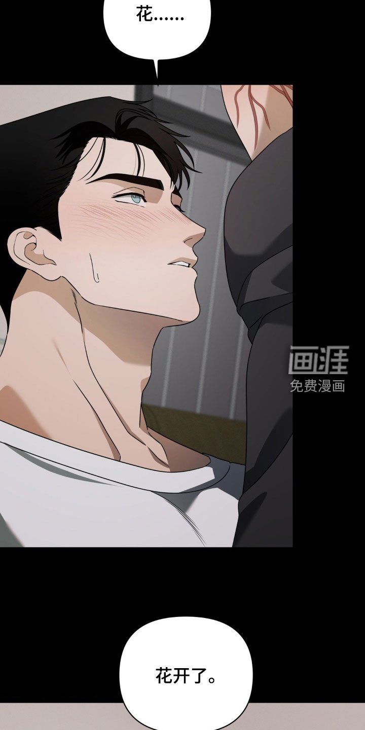 第26章：花开了