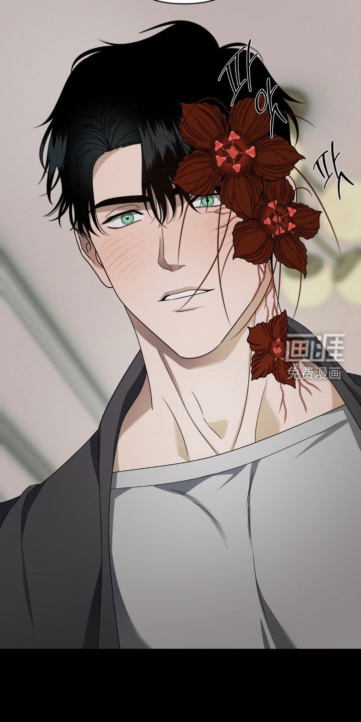 第26章：花开了