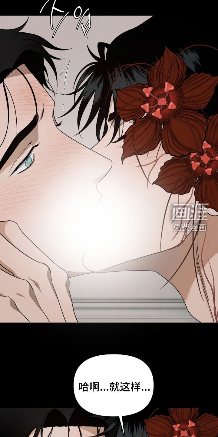 第26章：花开了
