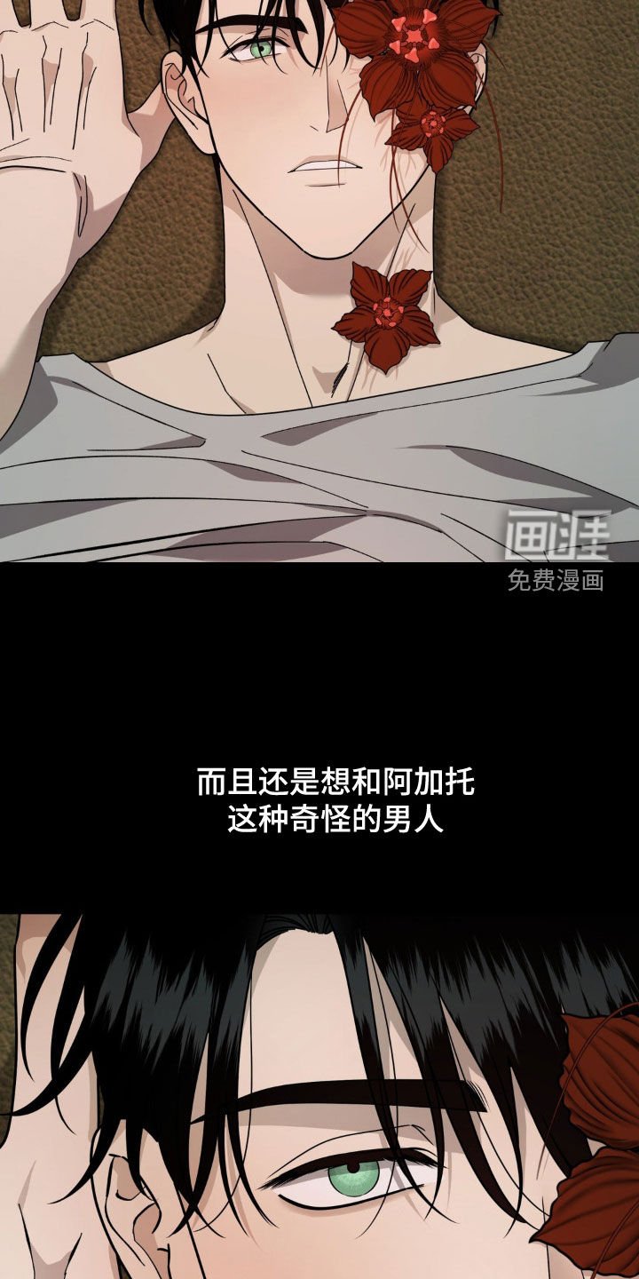第27章：错觉