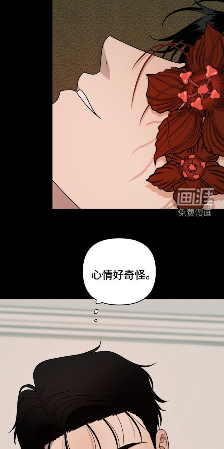 第27章：错觉