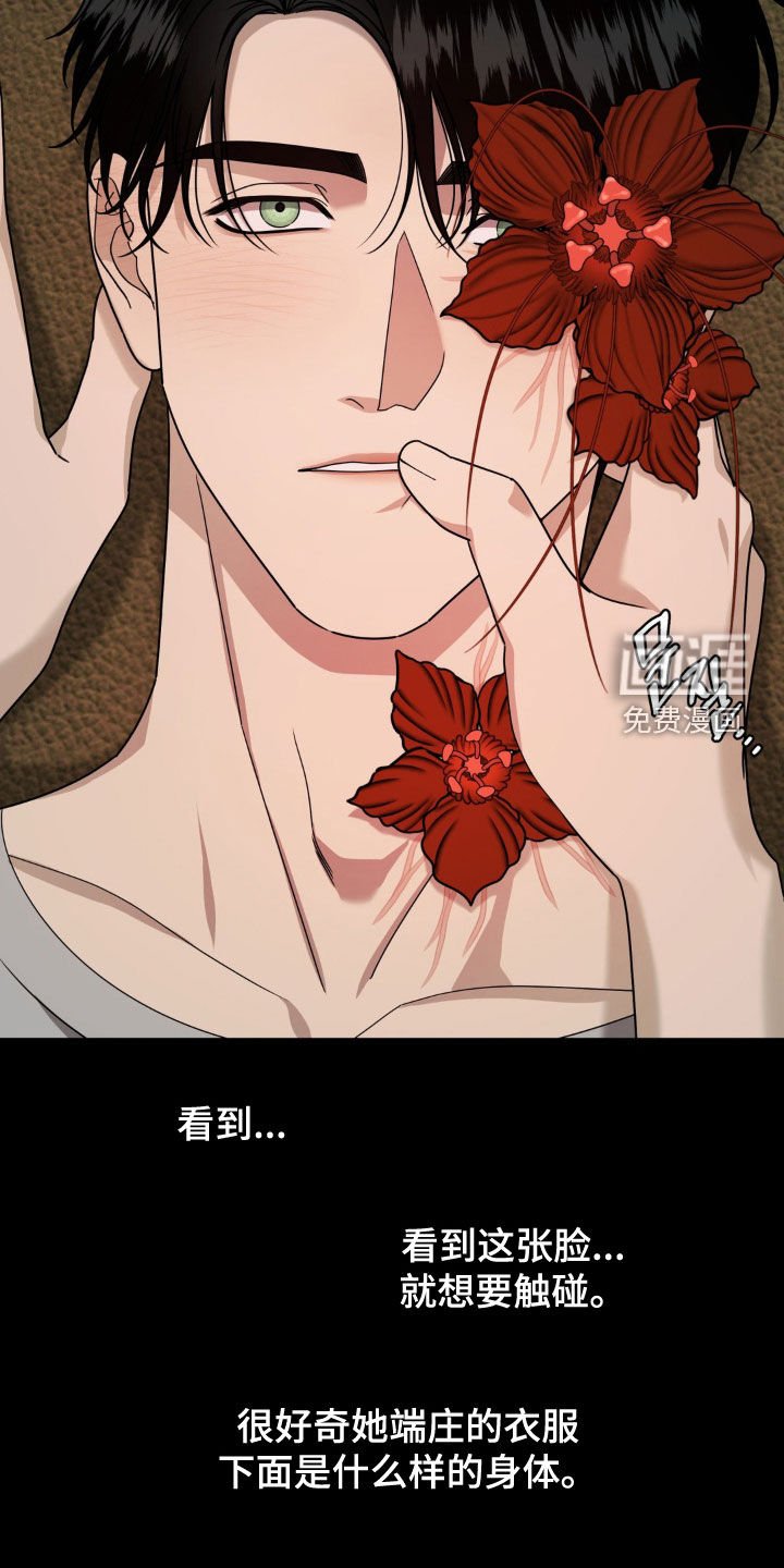 第27章：错觉