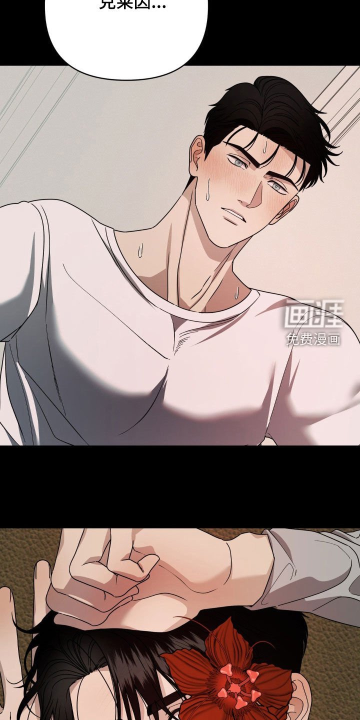 第27章：错觉
