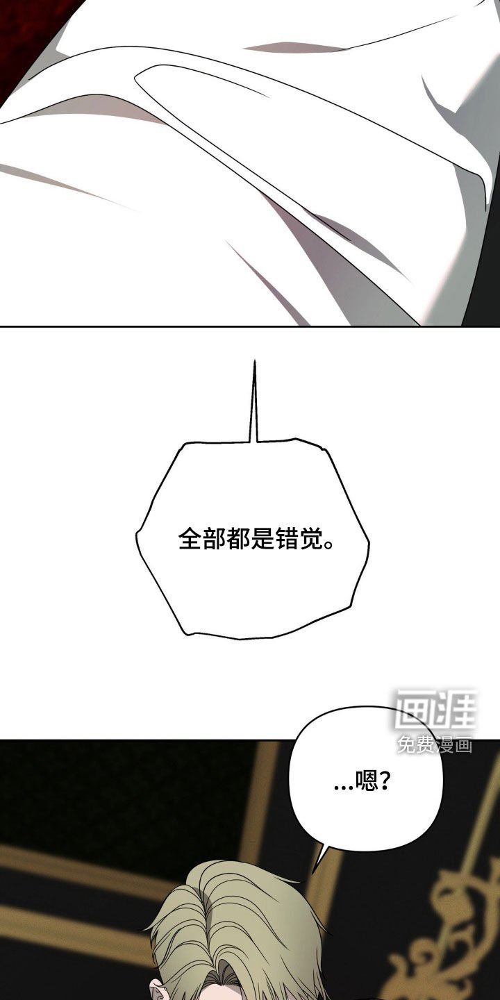 第27章：错觉