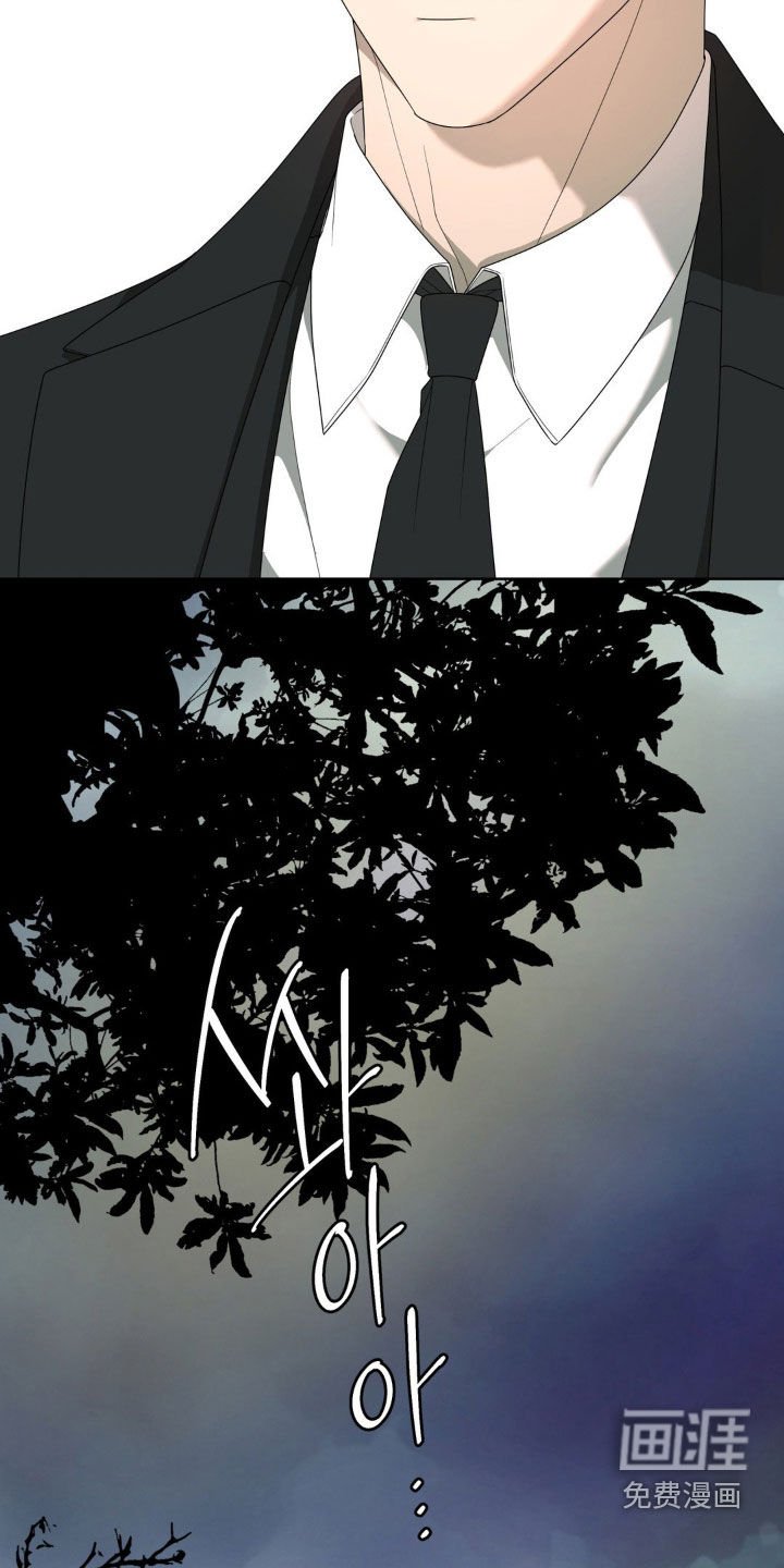 第33章：不需要再见