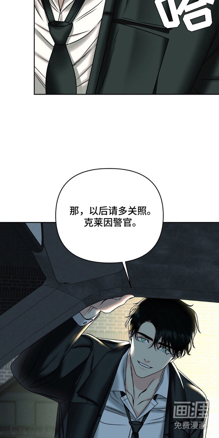 第6章：解剖