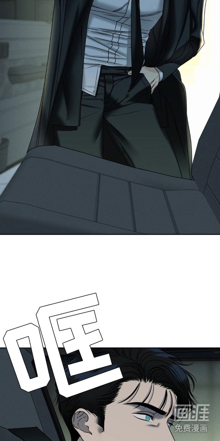 第6章：解剖
