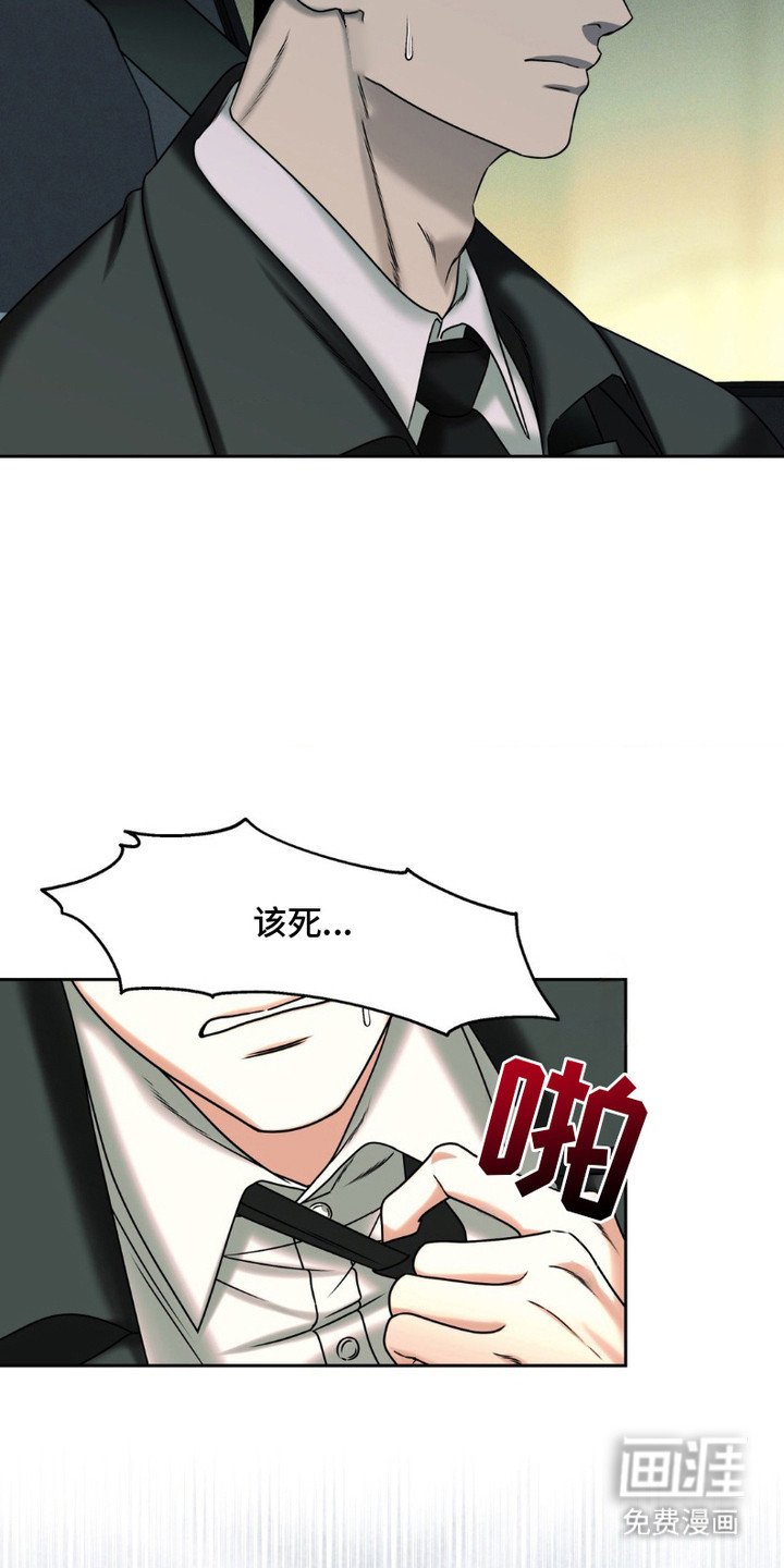 第6章：解剖
