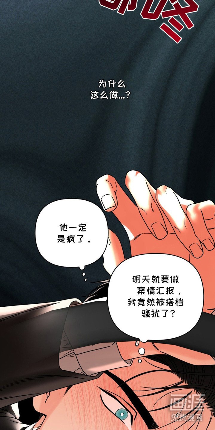 第6章：解剖