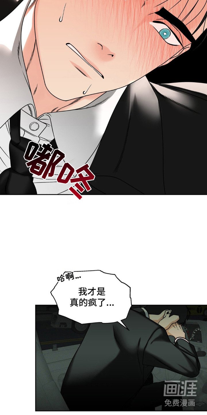 第6章：解剖