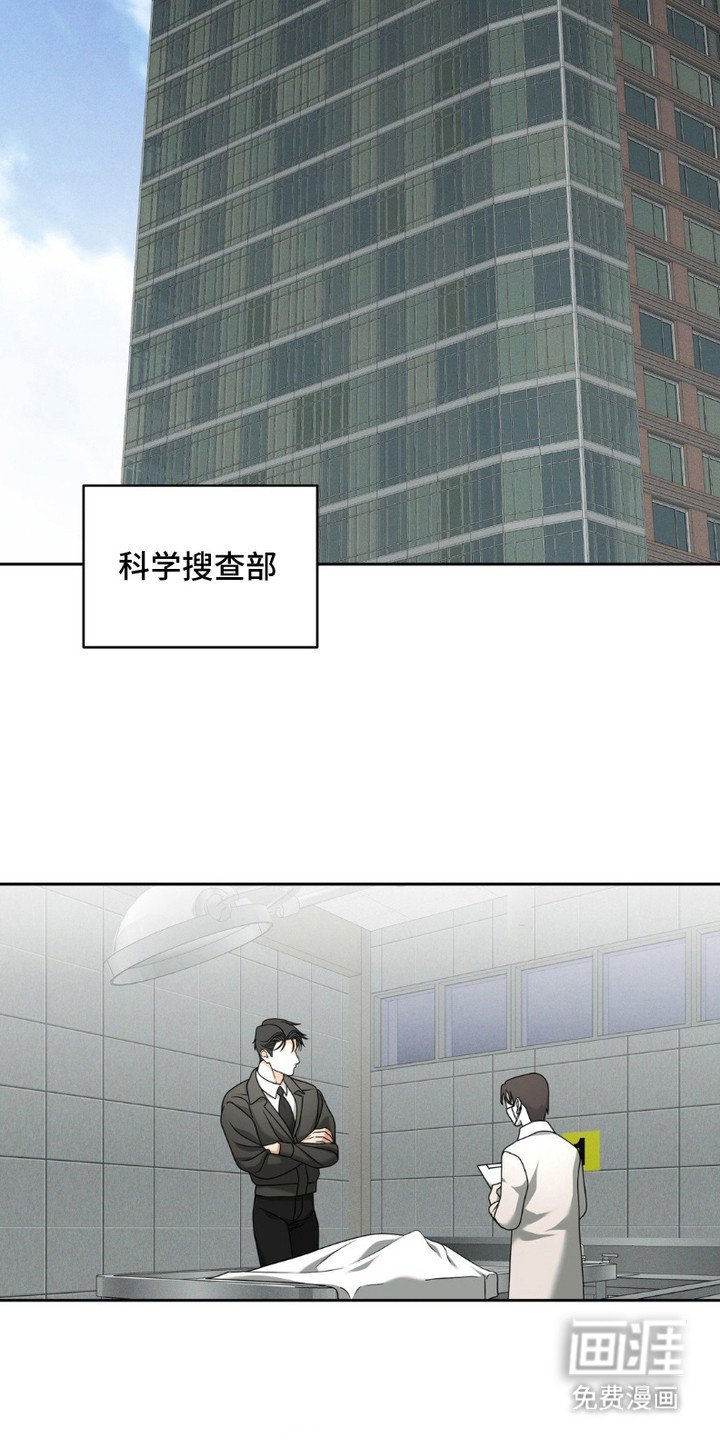 第6章：解剖