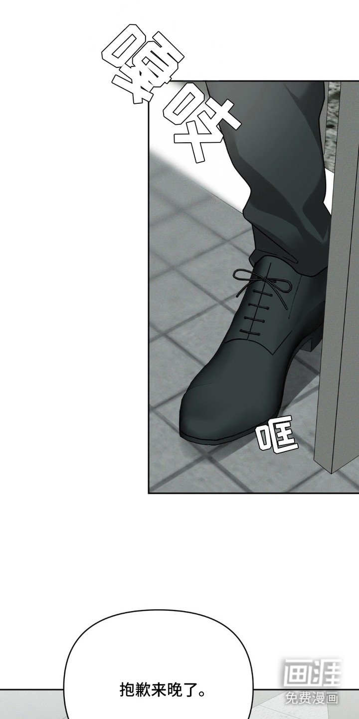 第6章：解剖