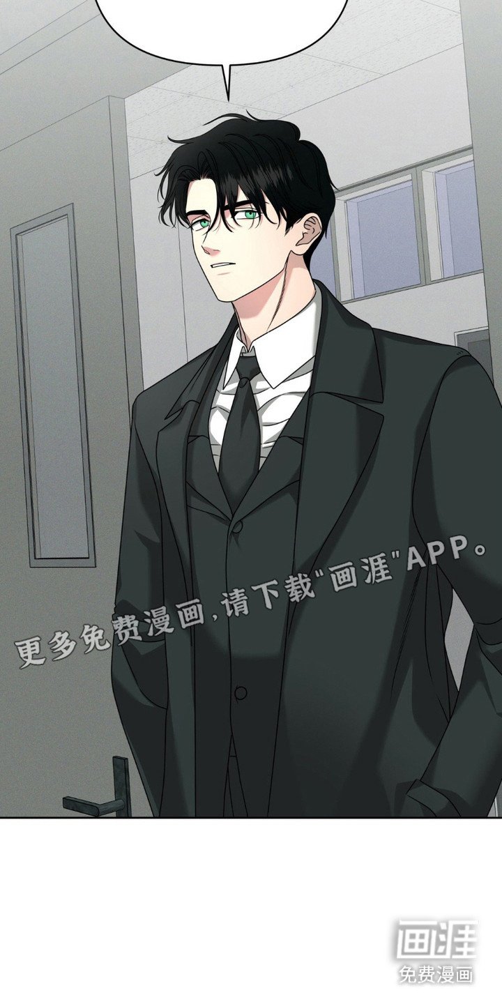 第6章：解剖