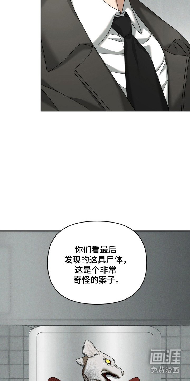 第6章：解剖