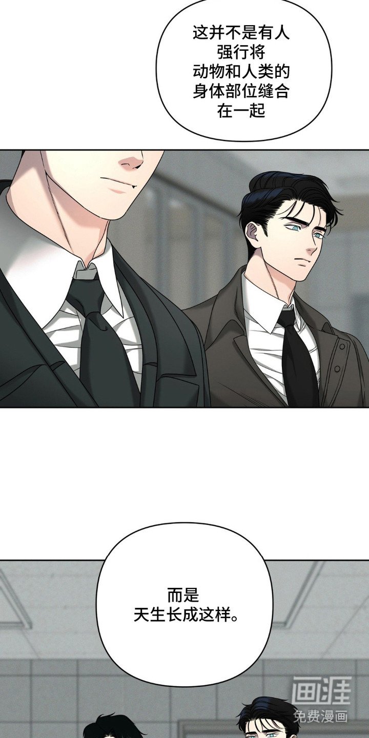 第6章：解剖