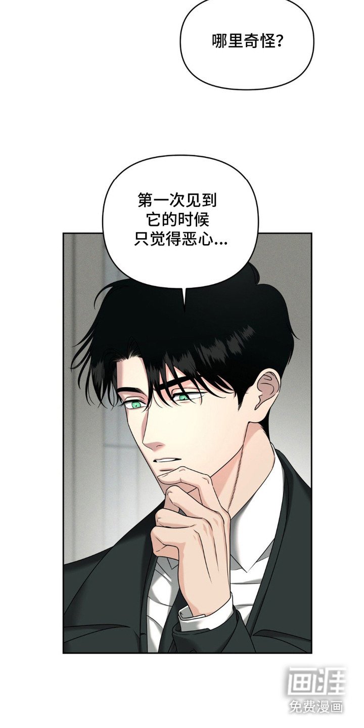 第6章：解剖