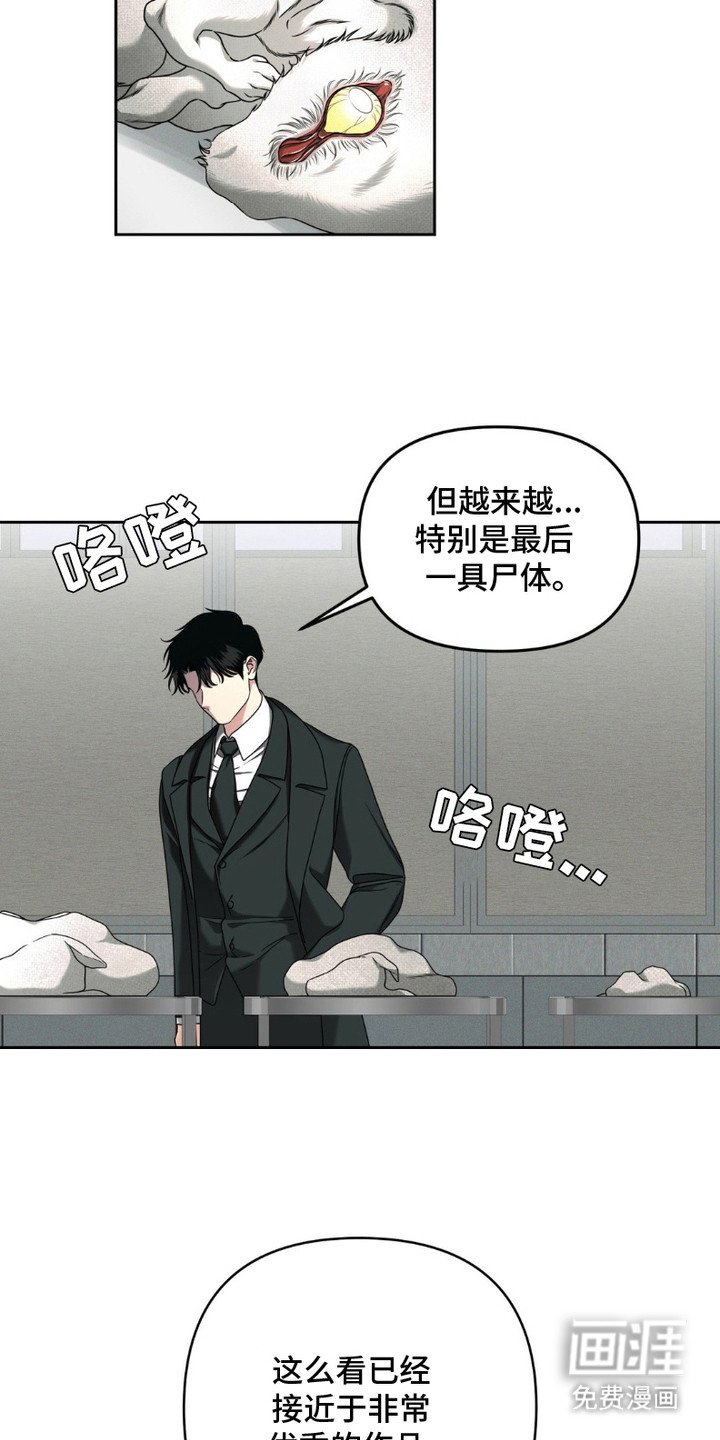 第6章：解剖