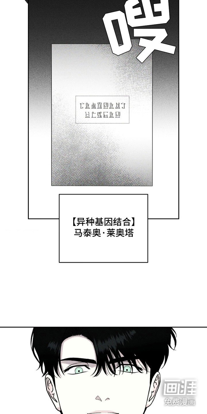 第8章：记忆宫殿