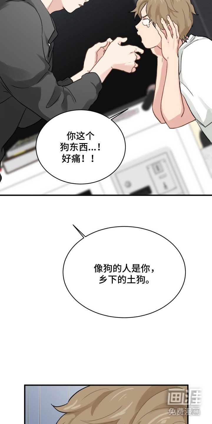第4章：素材