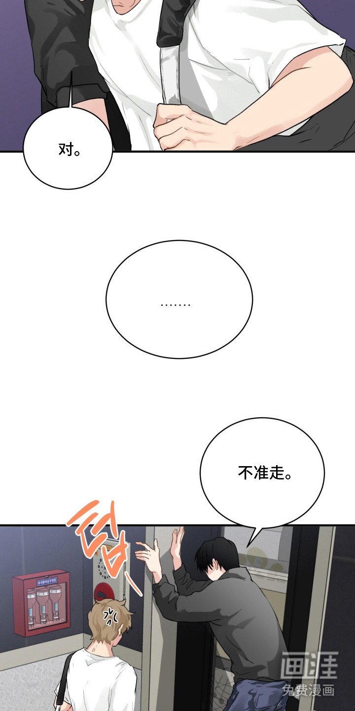 第5章：灵光一闪