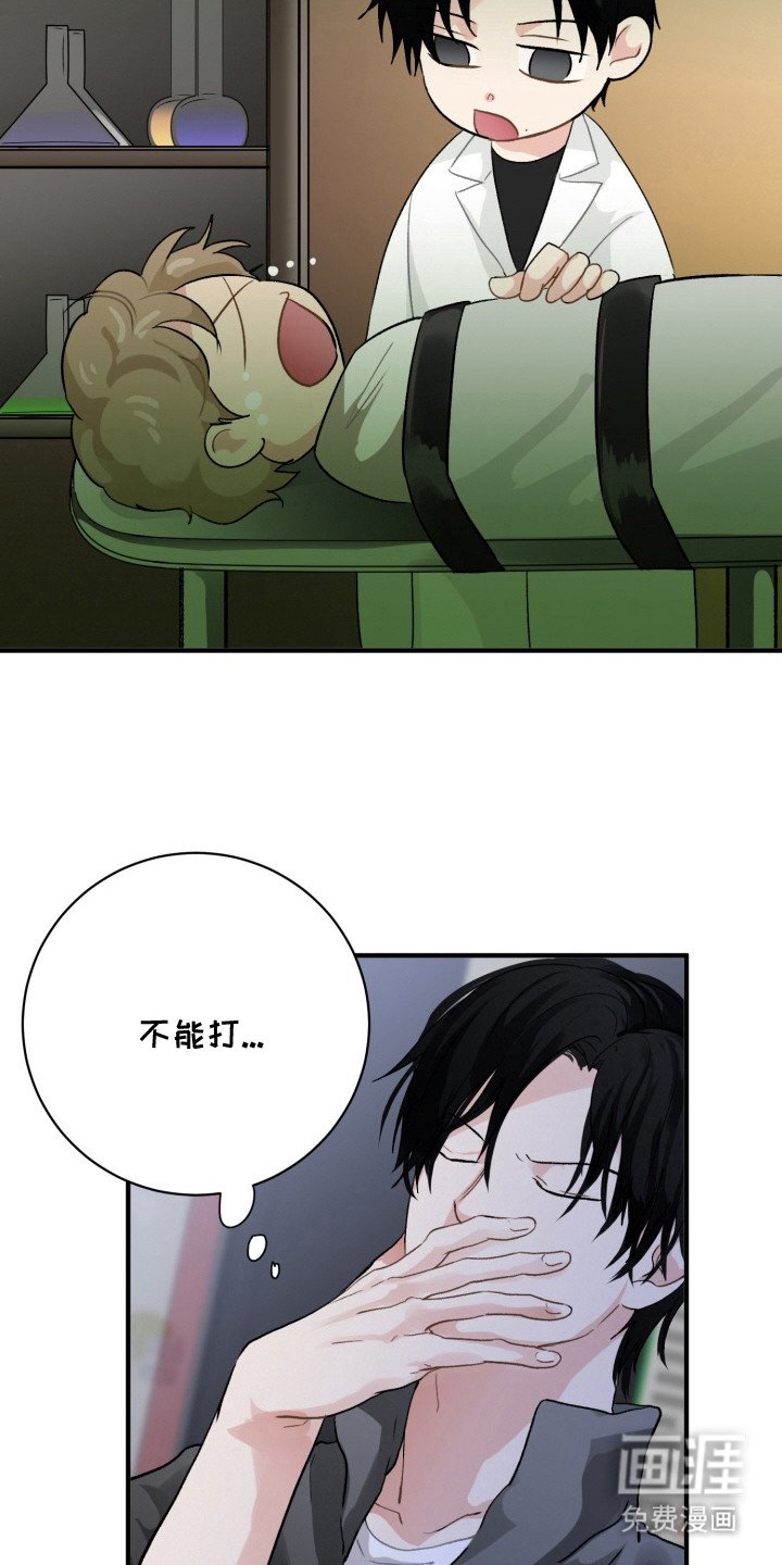 第5章：灵光一闪