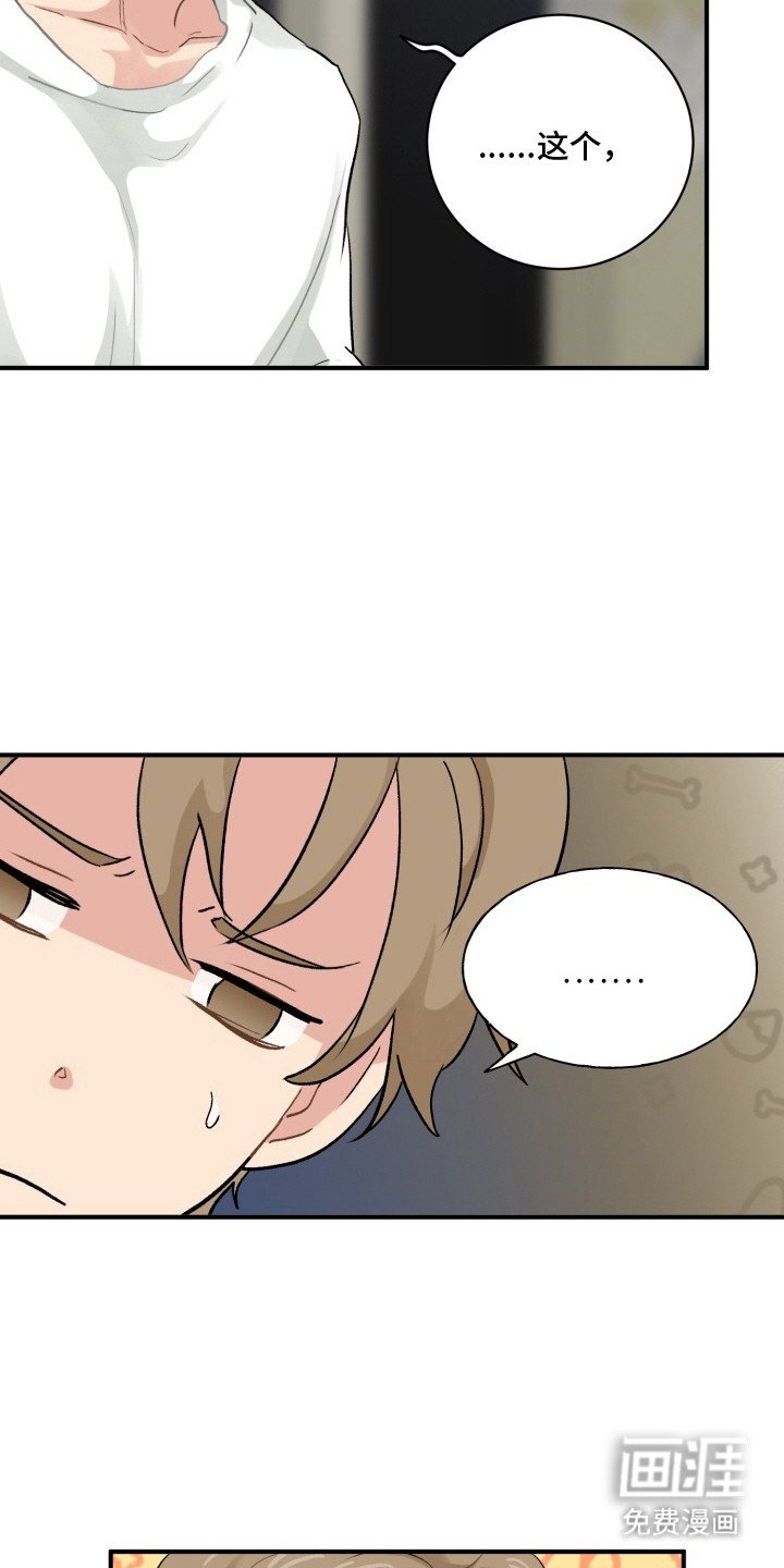 第6章：试试看